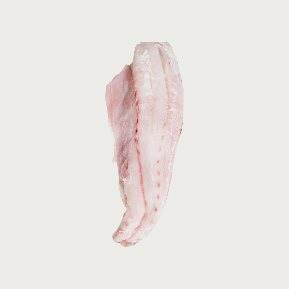 Filete de Corvina | Corte Delgado