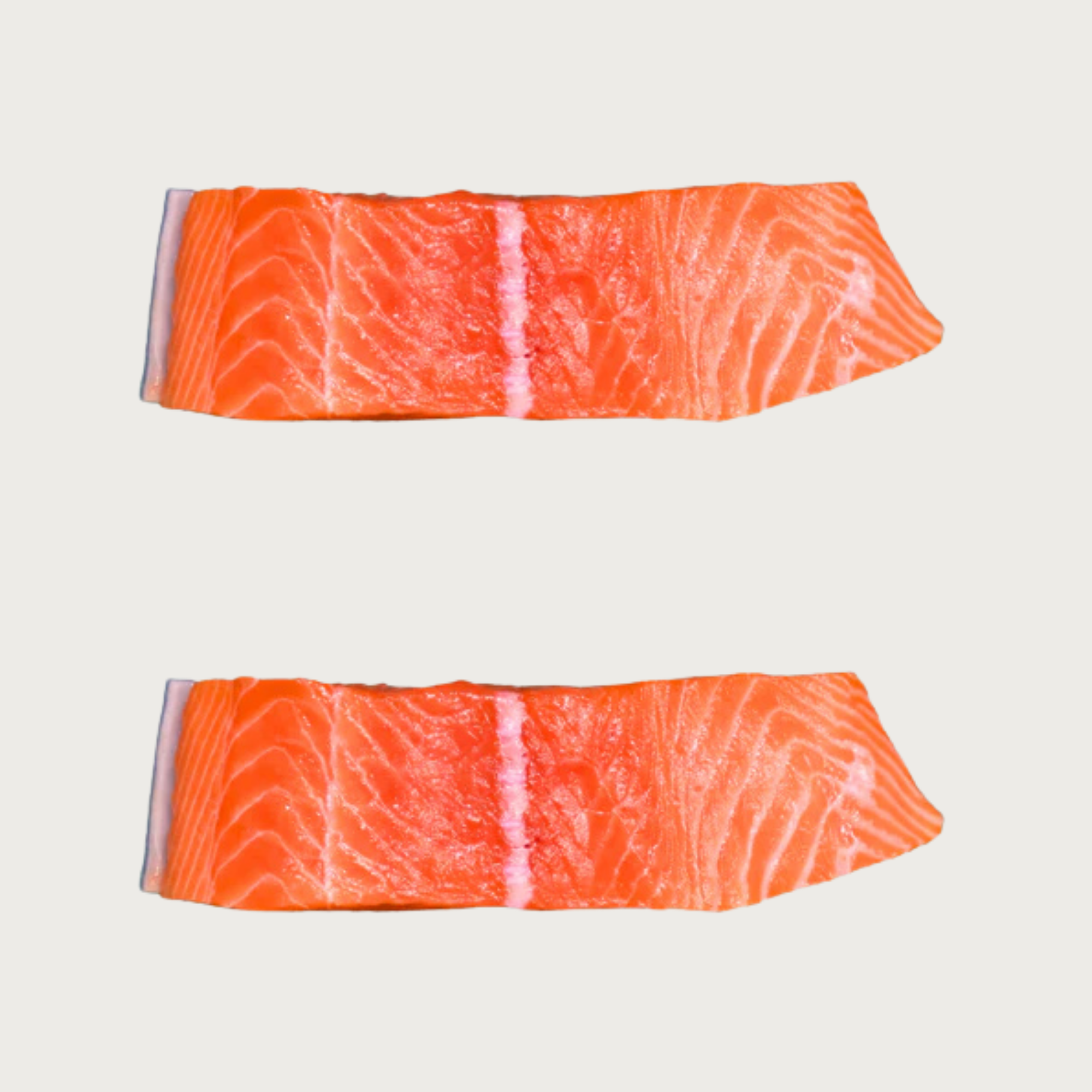 Salmon de La Patagonia