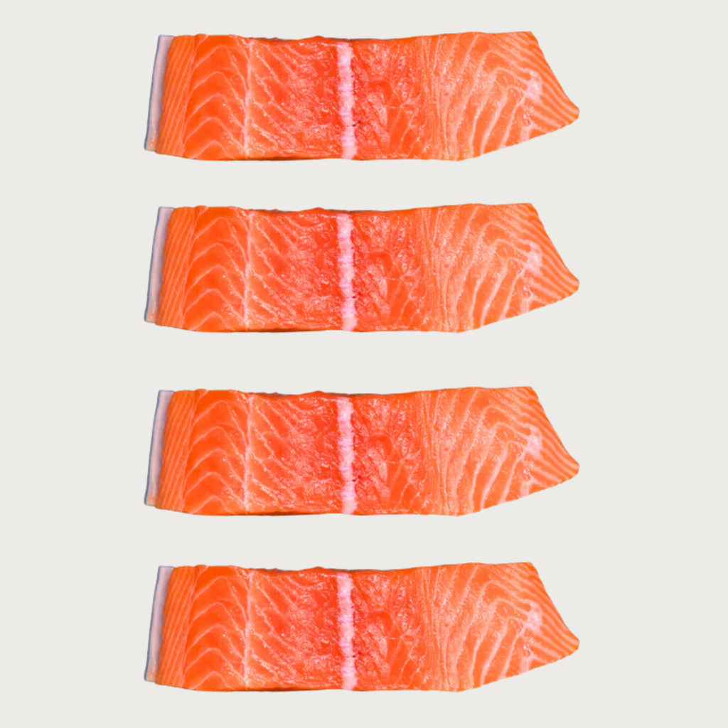 Salmon de La Patagonia